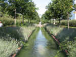 pa05_0601.JPG (87707 octets)