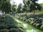 pa05_0602.JPG (89120 octets)