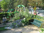 pa05_0610.JPG (100743 octets)